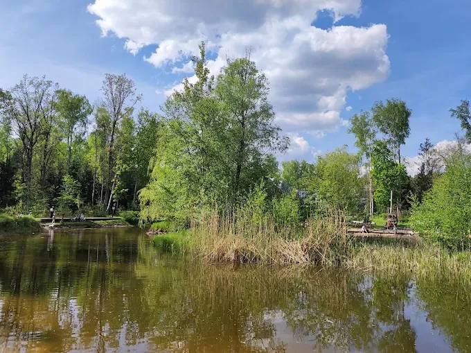 Rezerwat im. Króla Jana Sobieskiego